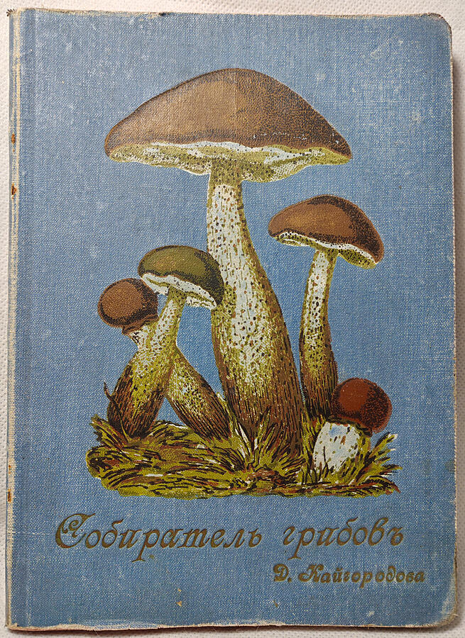 Кайгородов Д. Собиратель грибов (Антикварная книга 1915г.)