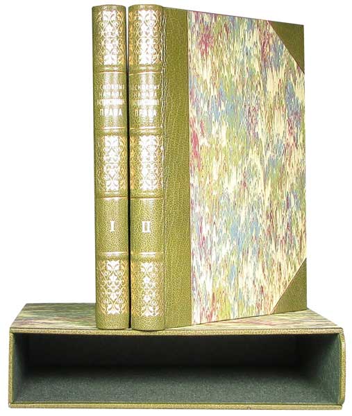 Антикварная книга «Основные начала государственного права»