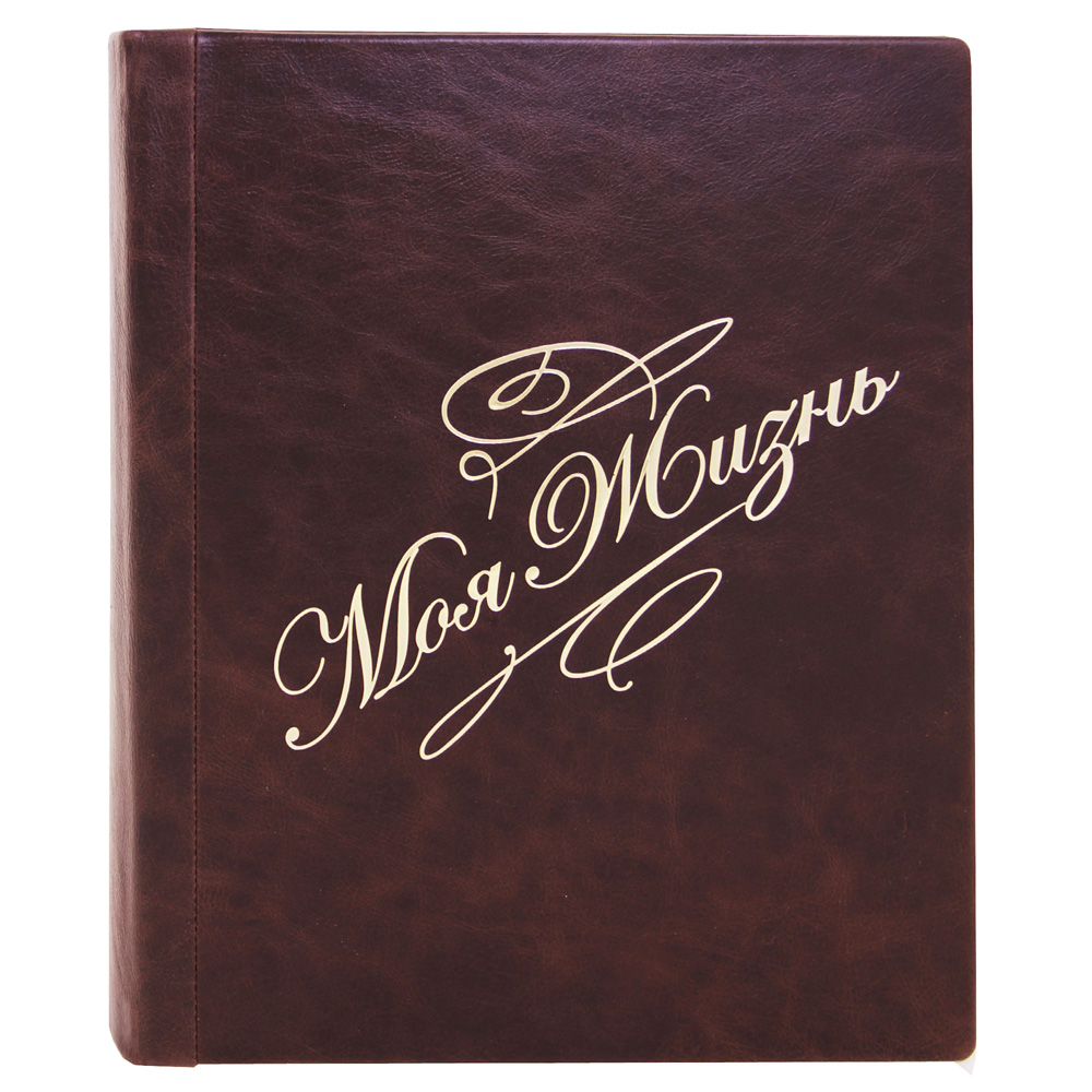 Фотоальбом Моя жизнь в кожаном переплете с золотым теснением в цвете темно-коричневый