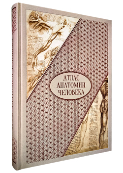 Подарочная книга «Атлас анатомии человека. Все органы человеческого тела»