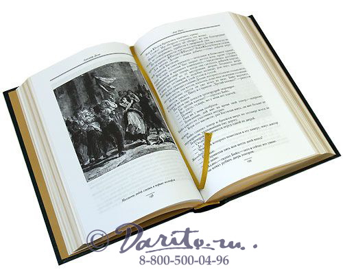 Дюма А., Книга «Анж Питу»