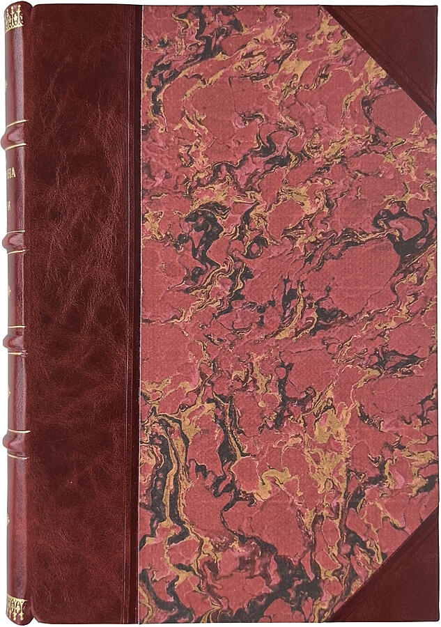 Письма С.П. Боткина из Болгарии 1877 г. (Антикварная книга 1893г.)