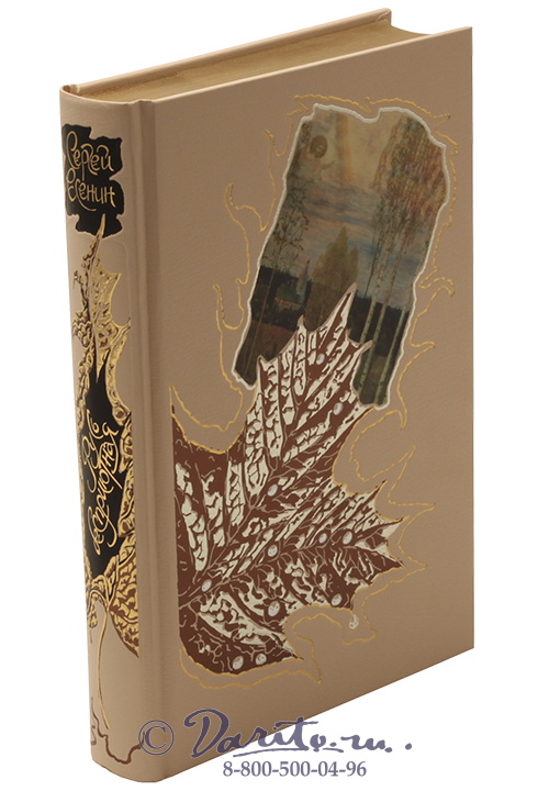 Есенин С. А. , Книга «Русь бесприютная»