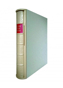 Забелин И. Е., Книга «История города Москвы»