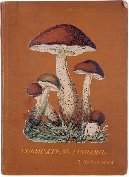 Антикварная книга «Собиратель грибов»