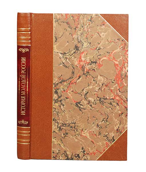 Антикварная книга «История молодой России»