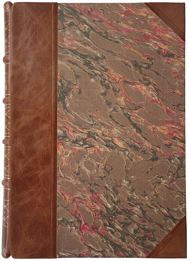 Авенариус В.П. Молодость славного русского хирурга и педагога Н.И. Пирогова (Антикварная книга 1909г.)