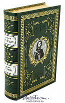 Книга «История Петра Великого»