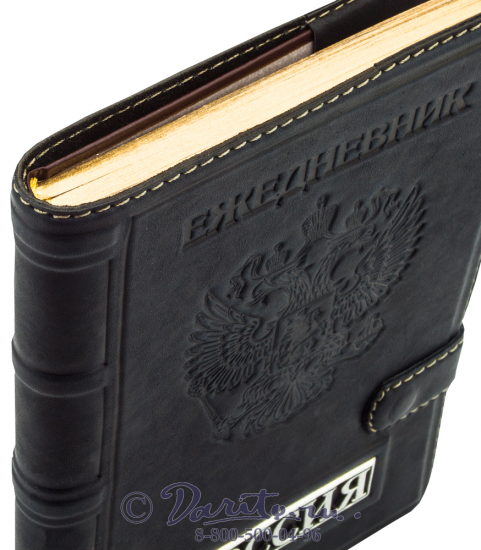 Ежедневник «Россия»