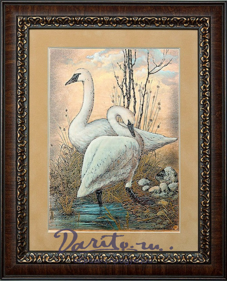 Гравюра на металле «Лебеди»