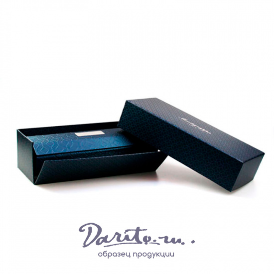 Ручка перьевая Montegrappa Fortuna «Blazer»