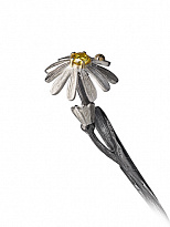 Серебряная чайная ложка «Ромашка»