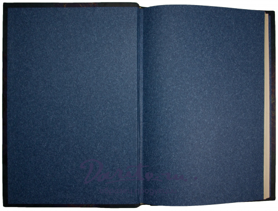 Антикварная книга «Путешествие уральских казаков в «Беловодское царство»