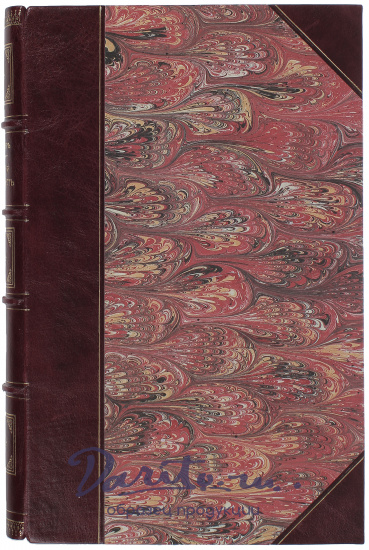 Антикварная книга «Русская словесность с XI по XIX столетия включительно»