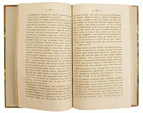 Антикварная книга «Живопись во Франции»