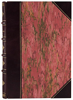 Антикварное издание «История революционного движения в России»