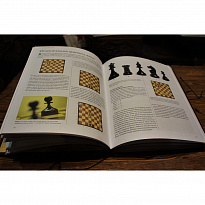 Книга в подарок «Шахматы: история, правила, навыки, тактики»