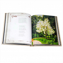 Подарочная книга «Анна Ахматова: неповторимые слова»