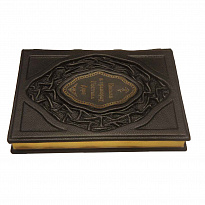 Библия в гравюрах Гюстава Доре в кожаном переплете с металлической накладкой