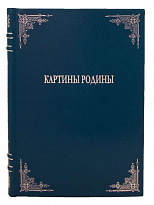 Антикварная книга «Картины родины»