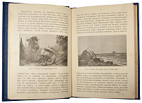 Антикварная книга «Картины родины»