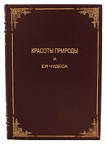 Антикварная книга «Красоты природы и ее чудеса»