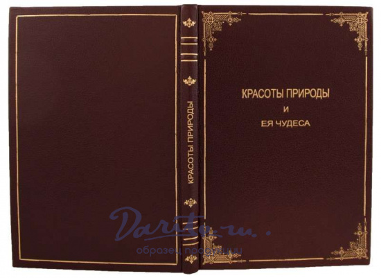 Антикварная книга «Красоты природы и ее чудеса»