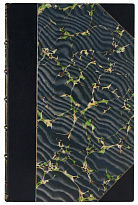 Антикварная книга «Путешествие по Средней Азии»