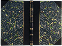 Антикварная книга «Путешествие по Средней Азии»