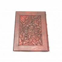 Книга в подарок «Тайная смерть Гитлера»