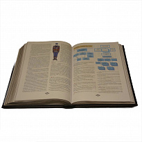 Подарочная книга «Государева служба»