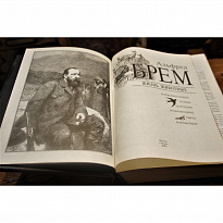 Подарочное издание «Жизнь животных»