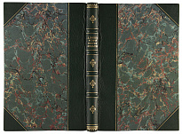 Антикварная книга «История географических открытий и успехи научного землеведения в 19 веке»