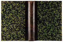 Антикварная книга «Полное собрание сочинений А.Н. Майкова»