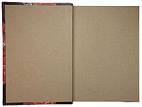 Антикварная книга «Руководство по гинекологии: для врачей и учащихся»