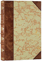 Антикварная книга «Основы химии»