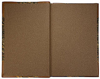 Антикварное издание «Краткое руководство по терапии мочеполовых болезней»