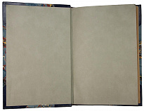 Антикварное издание «Германская подводная война. 1914-1918гг.»