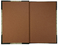 Антикварное издание «Крживицкий Л. Психические расы. Опыт психологии народов»