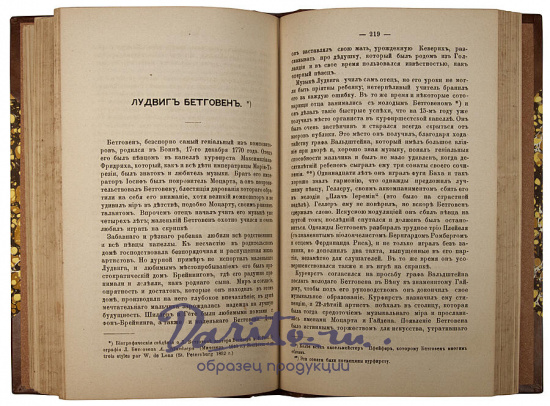 Антикварное издание «Грубе А. В. Биографические картинки»