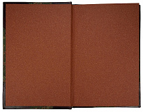 Антикварное издание «Спенсер Г. Справедливость»