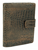Ежедневник А5 со сменной обложкой «Рептилия»