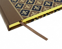 Книга в подарок «Орлеанская дева»