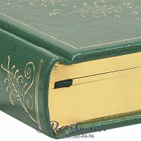 Книга «Жизнь-ветра дуновенье»