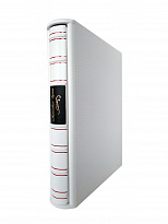 Подарочная книга «Мертвые души»