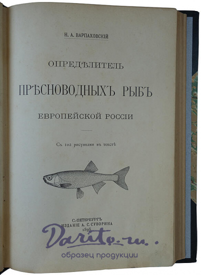 Варпаховский Н. А. Определитель пресноводных рыб Европейской России (Антикварная книга 1898 г.)