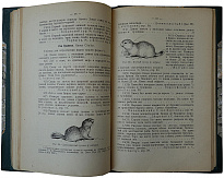 Определитель охотничьих и промысловых зверей нашей фауны (Антикварная книга 1928 г. с автографом автора)