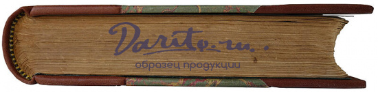 Таганцев Н.С. Уложение о наказаниях уголовных и исправительных 1885 года (Антикварная книга 1892г.)