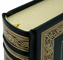 Подарочное издание. Мертвые души в кожаном переплете с тиснением и фотопечатью