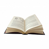 Книга в подарок Юмористические рассказы Тэффи в кожаном переплете с цветными иллюстрациями